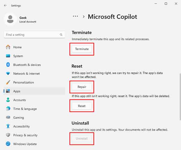 The advanced options for Copilot inside of Windows 11