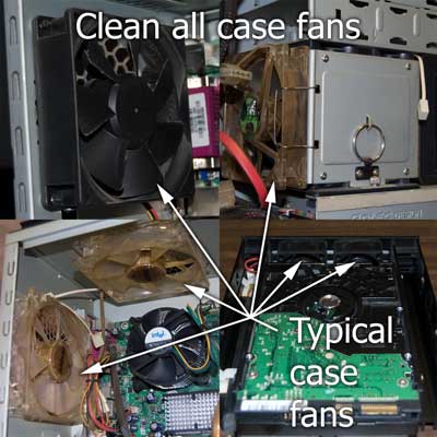 Clean all case fans
