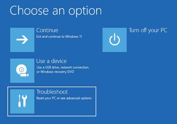 The Windows 11 Choose an option screen