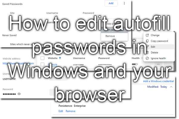 How to edit autofill passwords in Windows and your browser