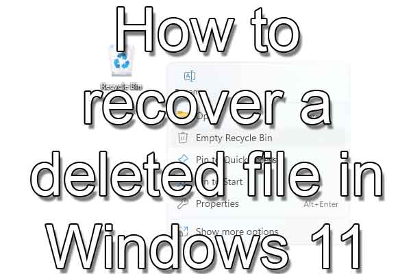 How to recover a deleted file in Windows 11