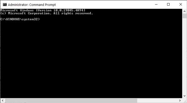 The Command Prompt with Administrator privileges in Windows 10