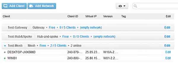 The Networks section showing VPN clients that are members of a network