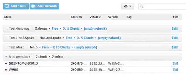 The Networks section showing VPN clients that are not members of a network yet