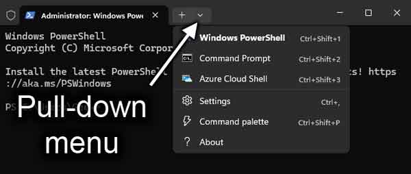 The Settings pull down menu for Windows Terminal inside of Windows 11