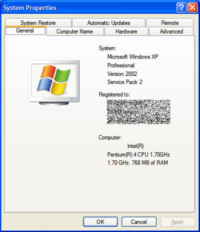 Windows XP System Properties page