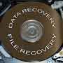 Data recovery, file recovery, and disaster recovery are a few of the data recovery services we provide